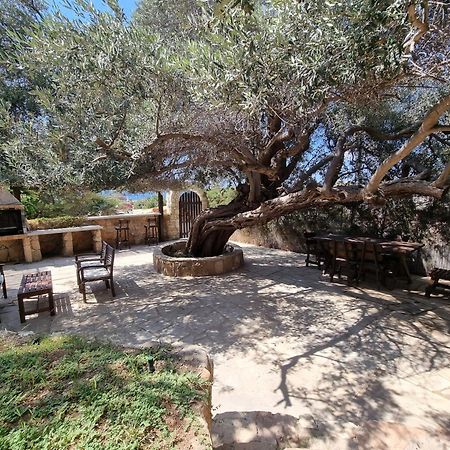 Olive Beach Villa Pegeia Exterior foto