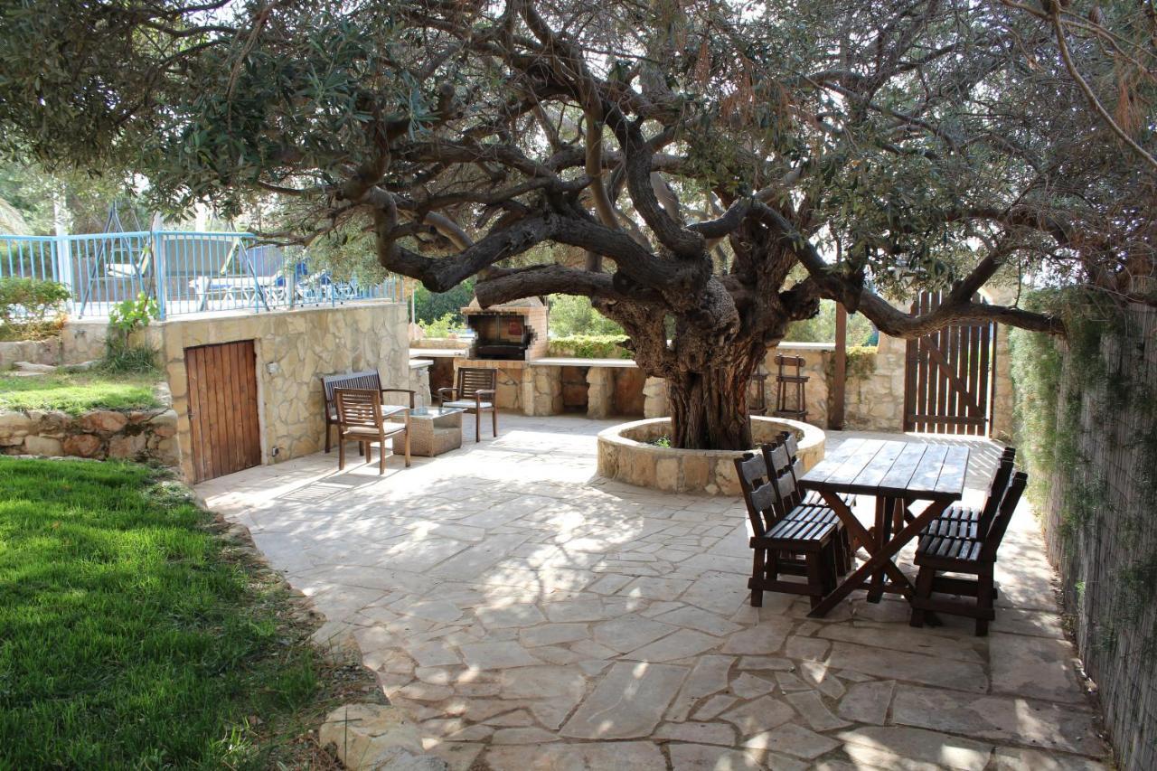 Olive Beach Villa Pegeia Exterior foto