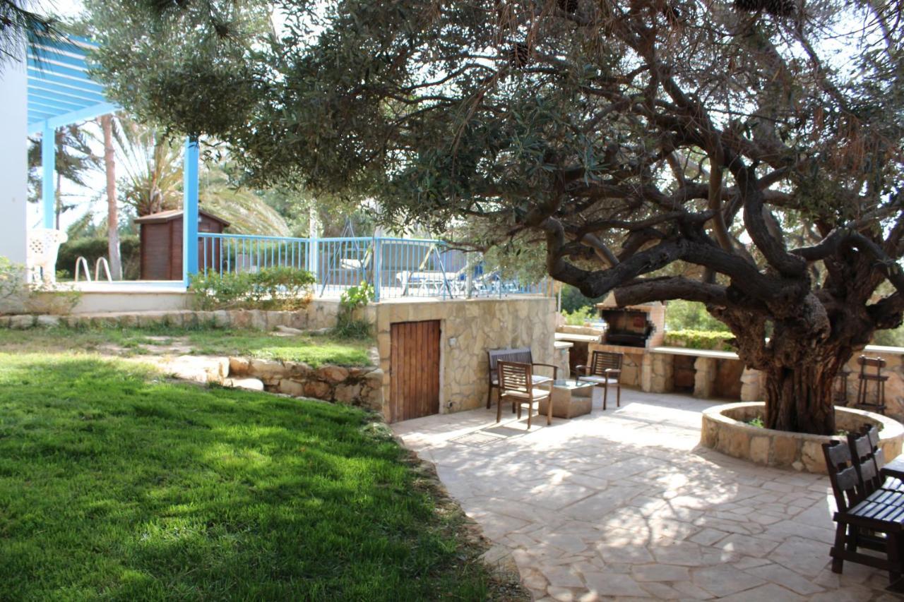 Olive Beach Villa Pegeia Exterior foto