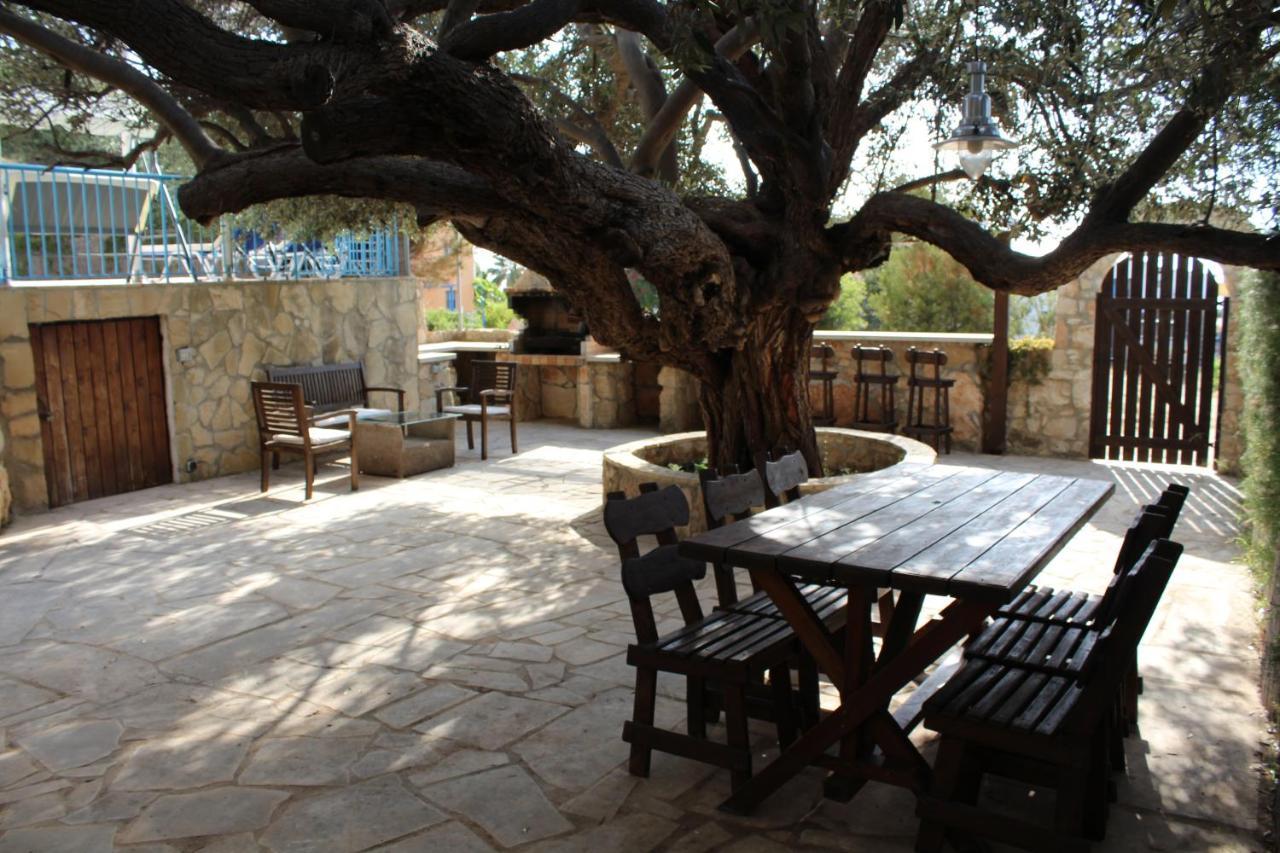 Olive Beach Villa Pegeia Exterior foto