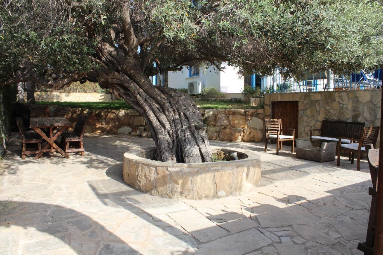Olive Beach Villa Pegeia Exterior foto