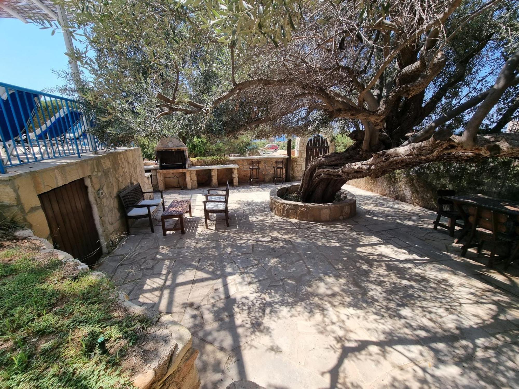 Olive Beach Villa Pegeia Exterior foto