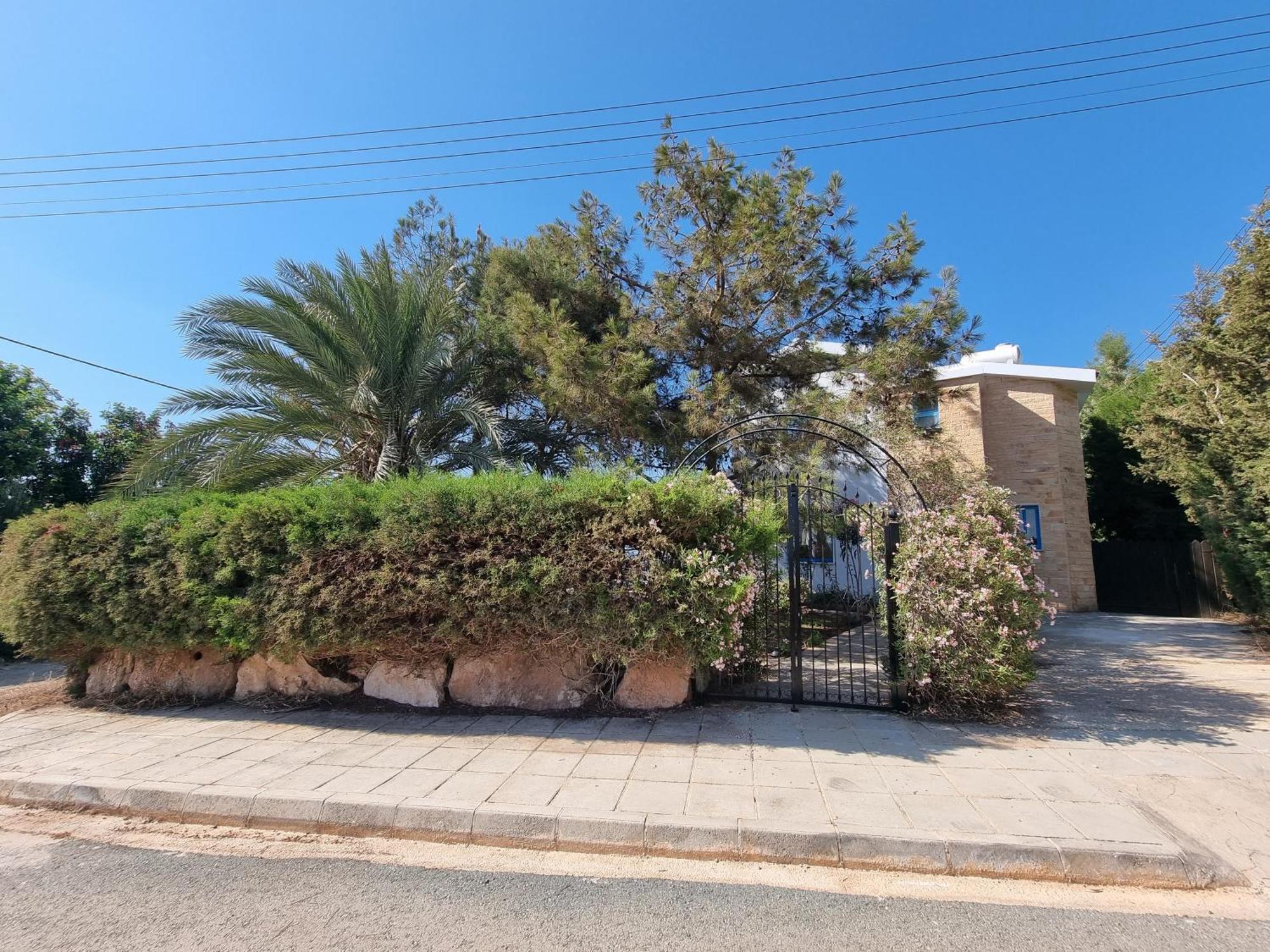 Olive Beach Villa Pegeia Exterior foto
