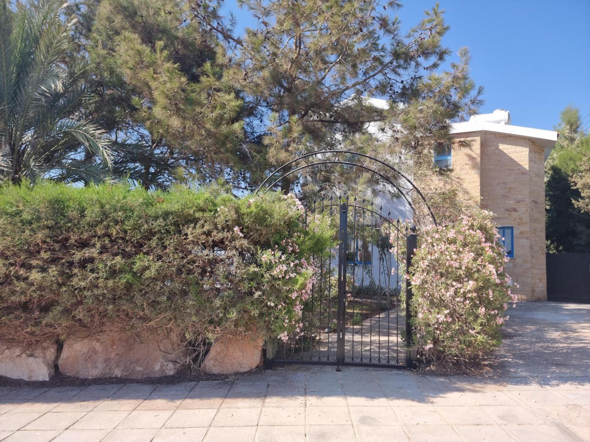 Olive Beach Villa Pegeia Exterior foto