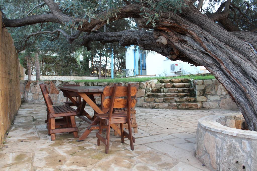 Olive Beach Villa Pegeia Quarto foto