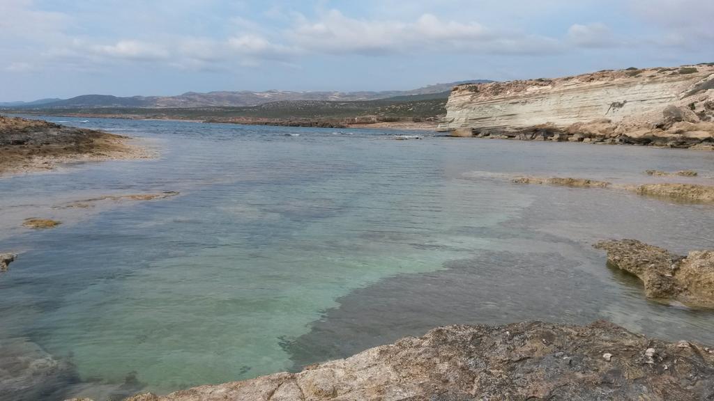 Olive Beach Villa Pegeia Exterior foto